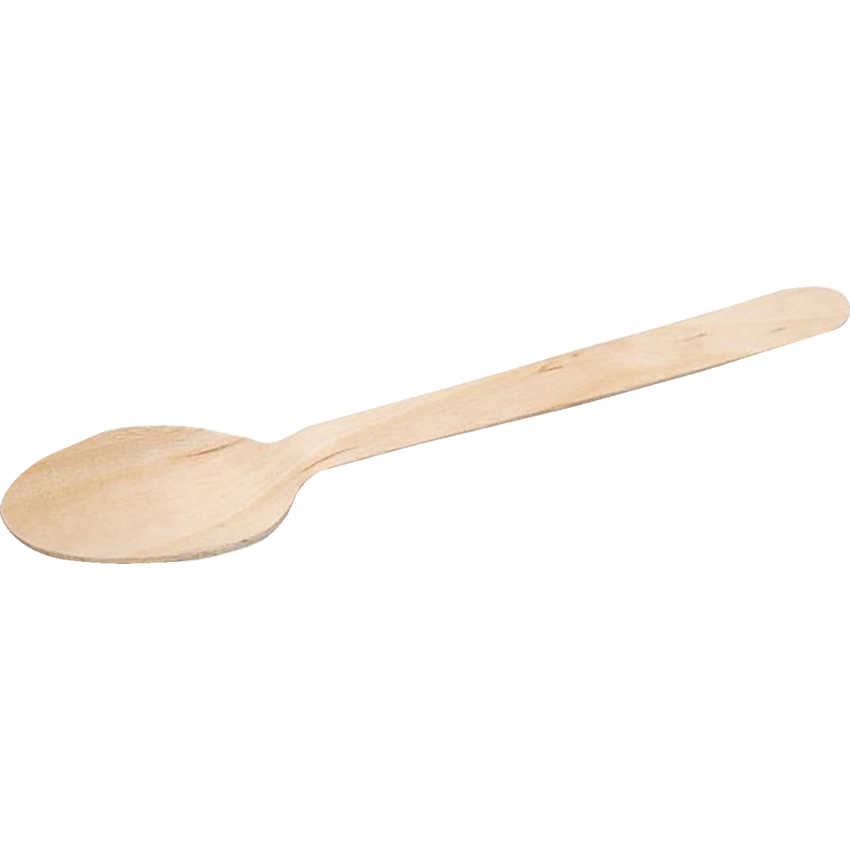 Earthpak Compostable Spoon 6" 100/pkg