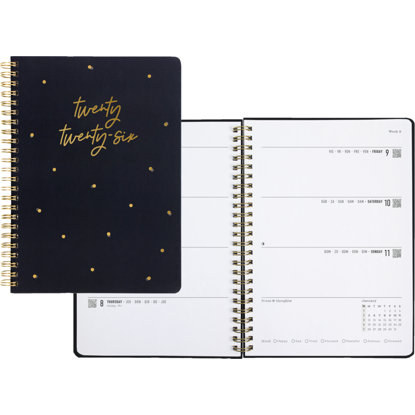 Letts® Celebrate Weekly Planner 8-1/4" x 5-7/8" Multilingual Grey