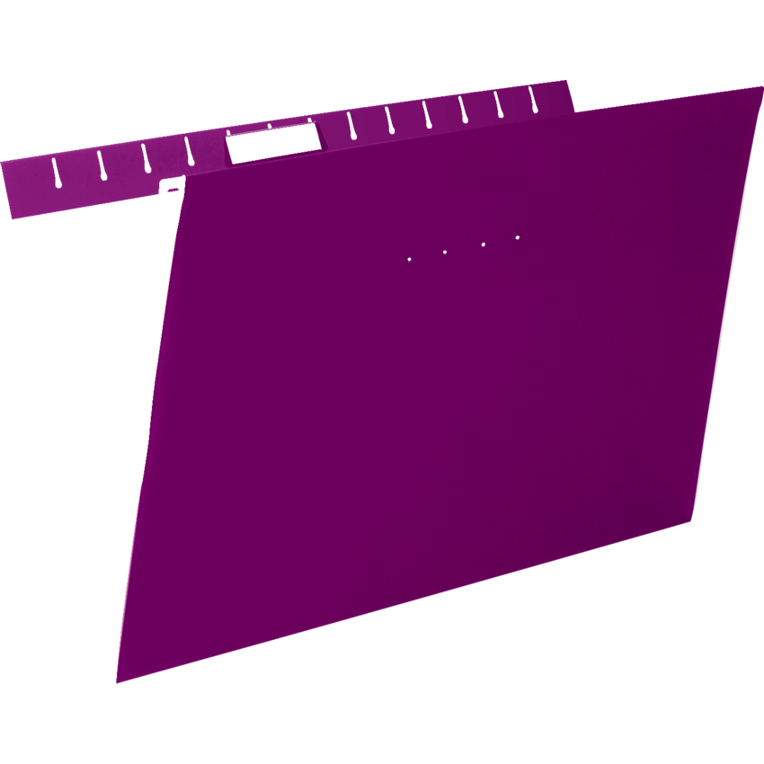 Pendaflex® Essentials™ Economy Hanging File Folder Legal Burgundy 25/box