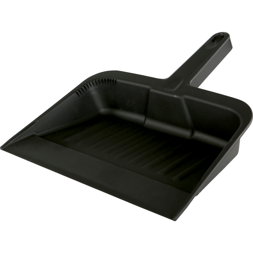 Globe™ Plastic Dust Pan 12