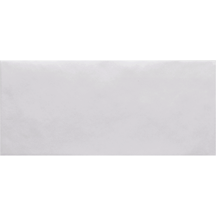 Hilroy Press-it Seal-it® Envelopes #10 Security 45/box