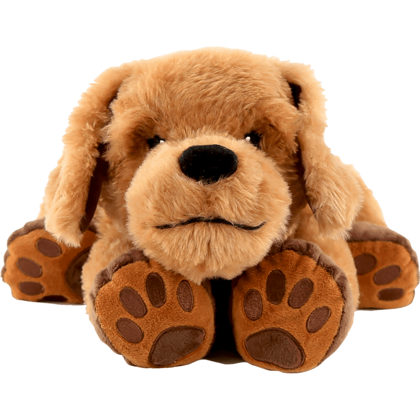 Roylco Theo the Therapy Dog