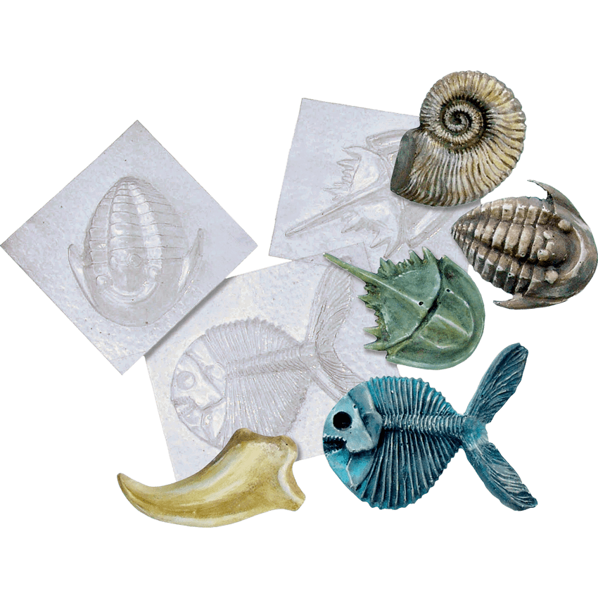Roylco Fossil Molds 5/pkg