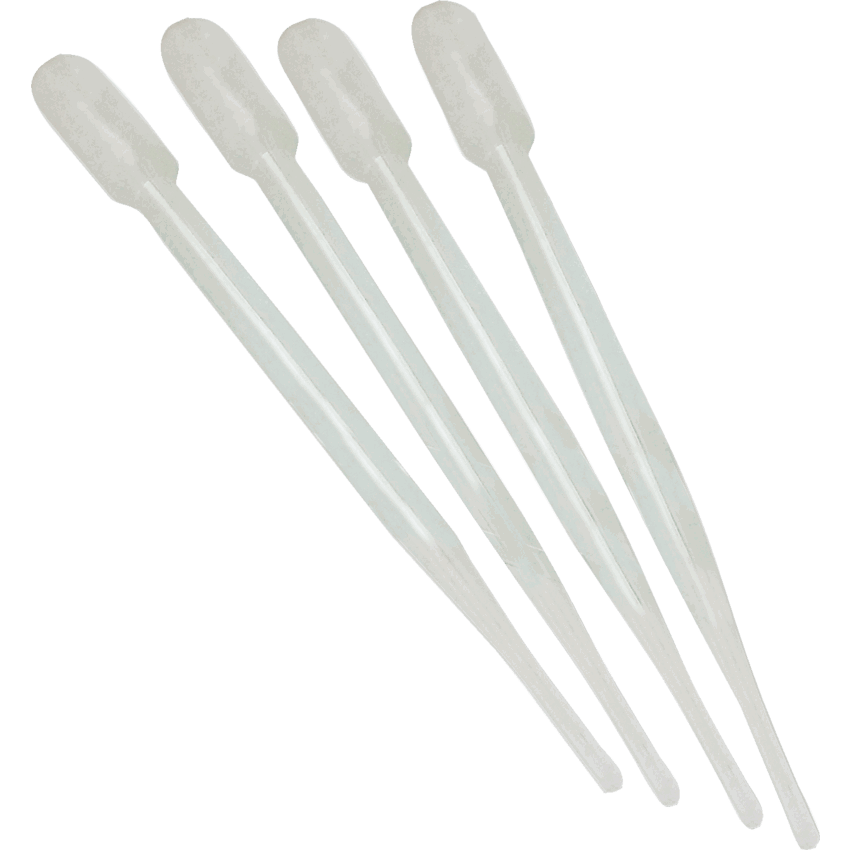 Roylco Paint Pipettes 6" 8/pkg