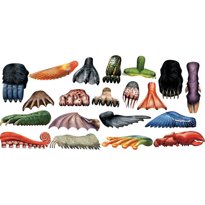 Roylco Animal Paint Scrapers 20/pkg