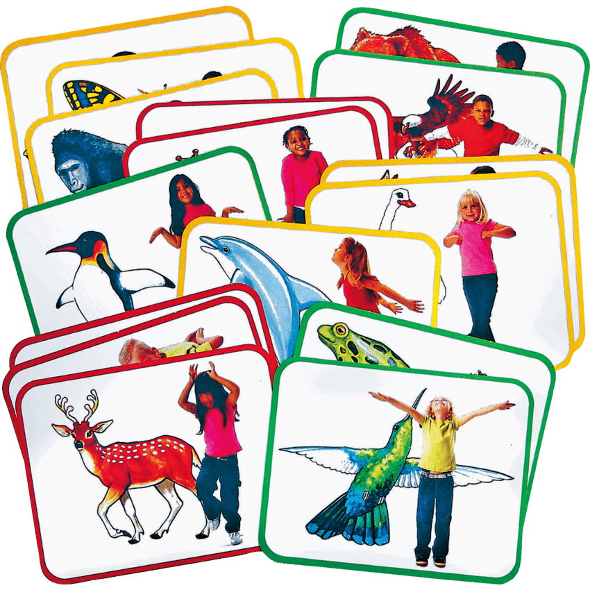 Roylco Body Poetry: Animal Action Cards 16/pkg