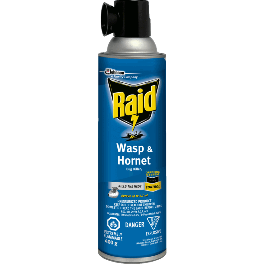 Raid® Wasp & Hornet Bug Killer 400 g