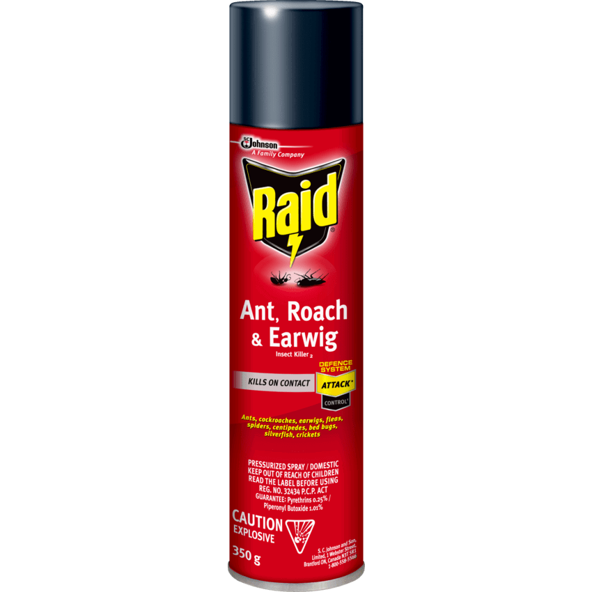 Raid® Ant, Roach And Earwig Insect Killer 350 g