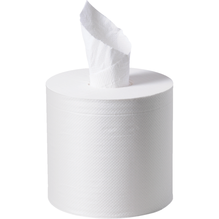 Esteem® 2-ply Centre-Pull Towels White 6 rolls/ctn