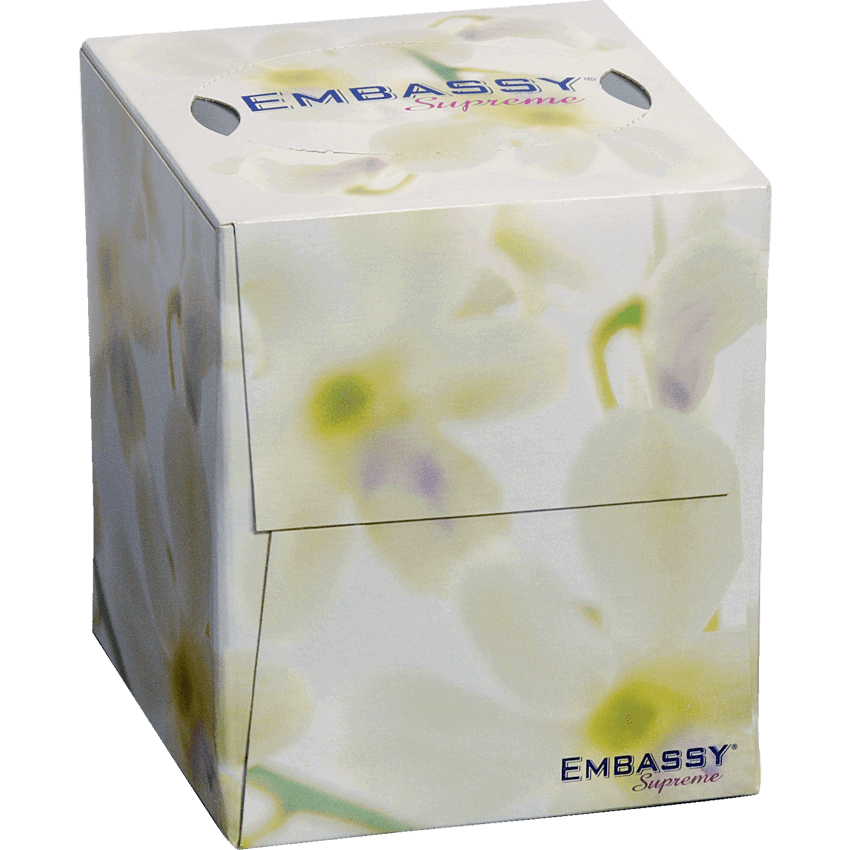 Embassy® Supreme Facial Tissue 100 sheets/box